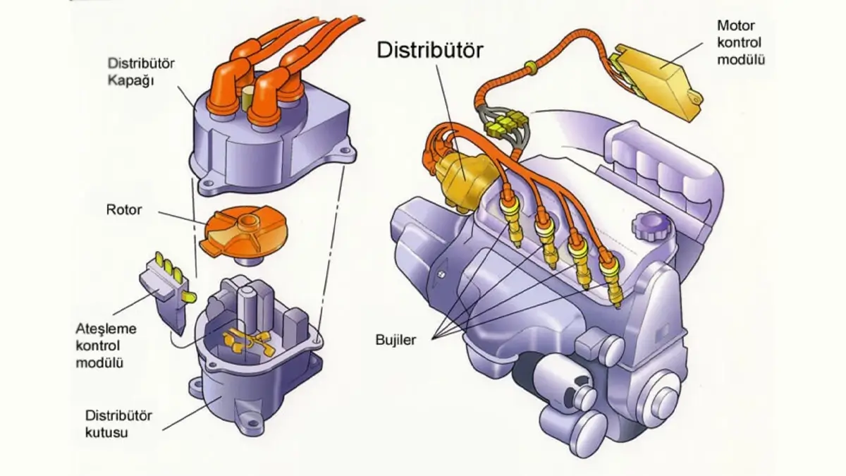 Distribütör Nedir