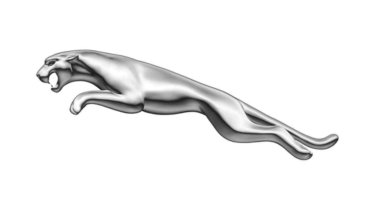 jaguar ambleminin anlamı