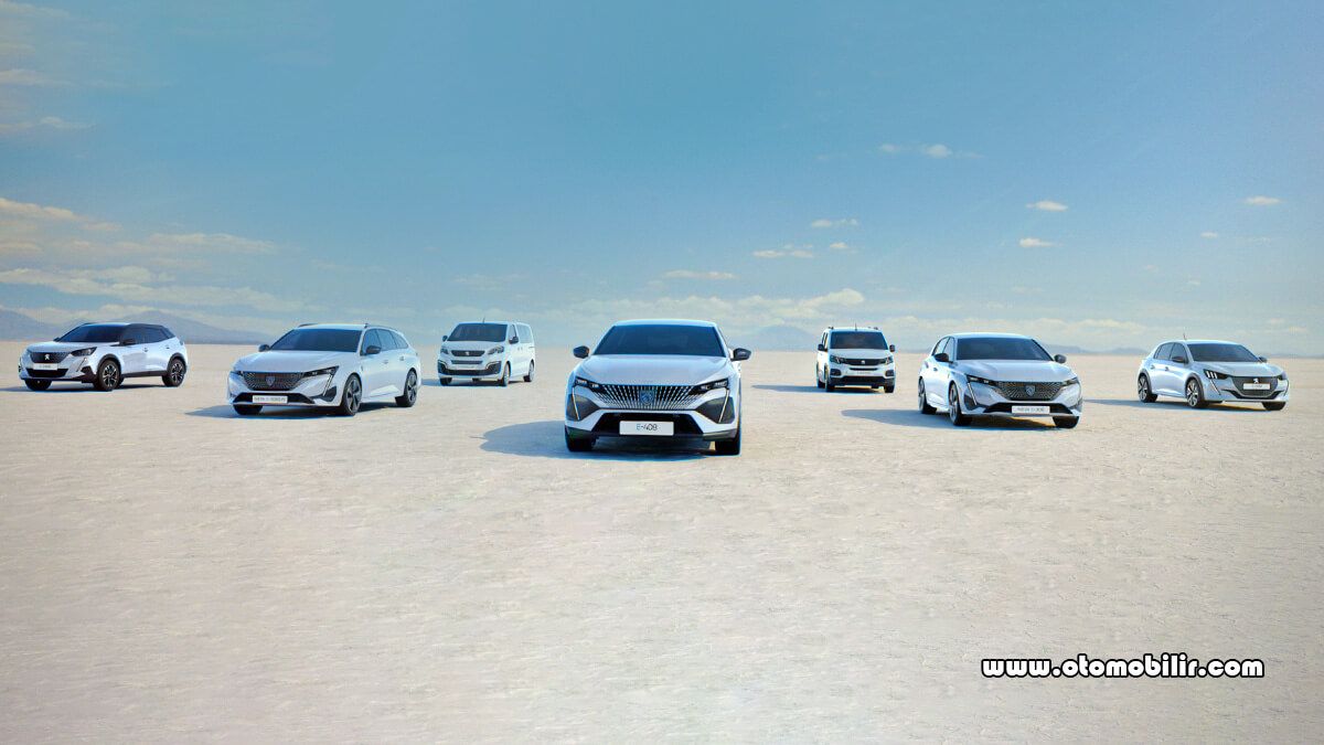 Avrupa'da 2030'da sadece elektrikli araç satacak