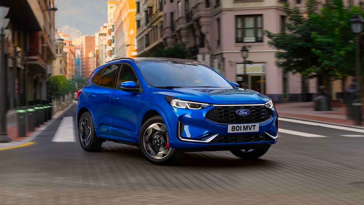 Yeni Kuga